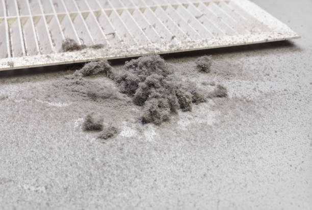 Best HVAC Air Duct Cleaning  in Pendleton, SC